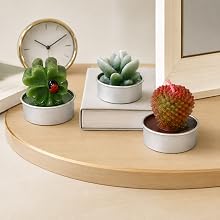 Beyond candles, these mini succulent designs bring a cozy and refreshing feeling to any space.