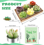 AIXIANG Cactus & Succulent Tealight Candles – 12 Pack — detail 3