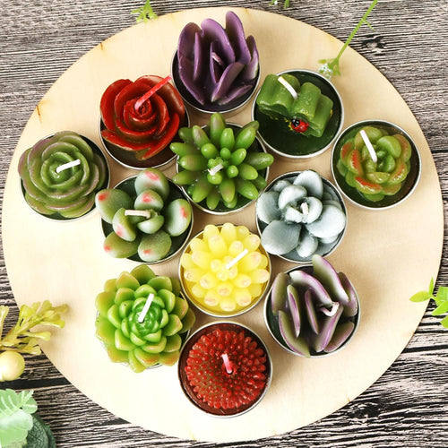AIXIANG Cactus & Succulent Tealight Candles – 12 Pack — detail 2