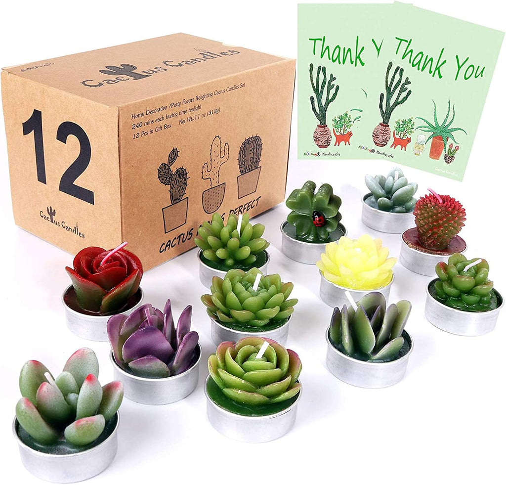 AIXIANG Cactus & Succulent Tealight Candles – 12 Pack — product photo