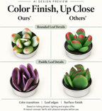 AIXIANG Cactus & Succulent Tealight Candles – 12 Pack
